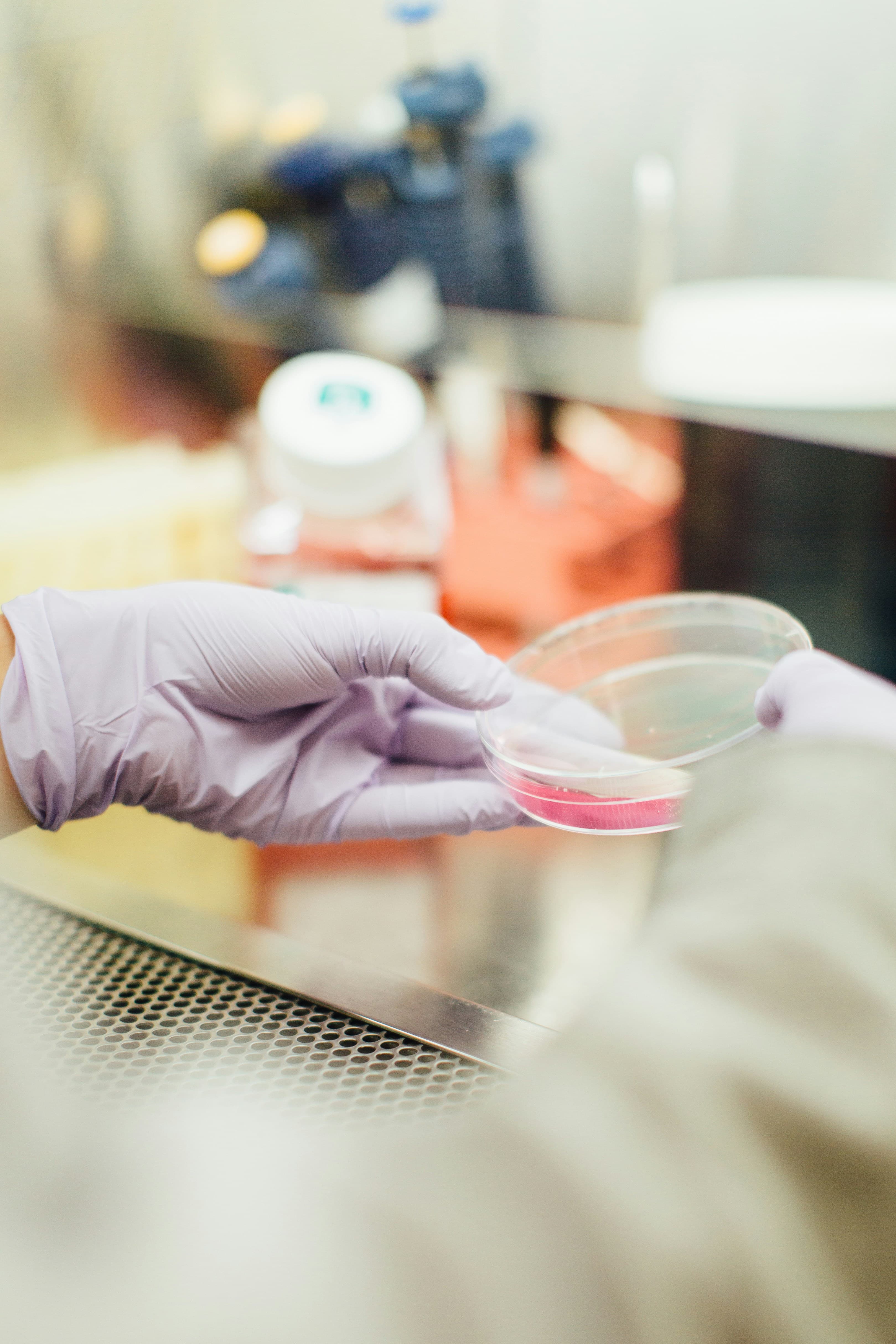 Can You Get Antibiotics Over the Counter in Australia?